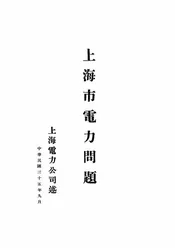 上海市电力问题
