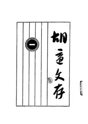 胡适文存