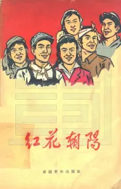 红花朝阳  新疆各族先进人物通讯报告集