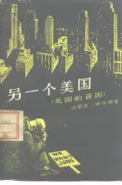另一个美国  美国的贫困