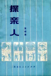 探亲人  演唱集