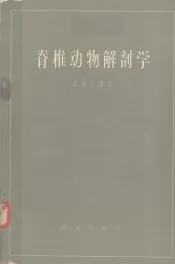 脊椎动物解剖学