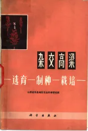 杂交高梁  选育-制种-栽培