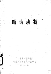 啮齿动物