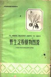 野生淀粉植物图说