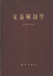 家畜解剖学