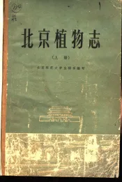 北京植物志  上