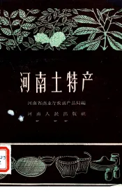河南土特产