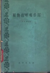 植物的呼吸作用