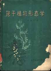 孢子植物形态学