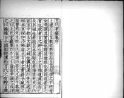 王氏家藏集 四十一卷內臺集七卷