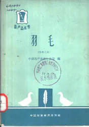 羽毛  鹅鸭毛绒