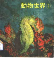 动物世界  2