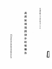 武汉区域规划初步研究报告
