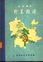 云南地区野菜图谱