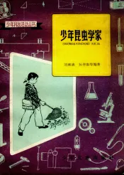 少年昆虫学家