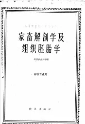 家畜解剖学及组织胚胎学