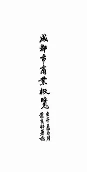 成都市商业概览
