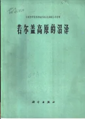 若尔盖高原的沼泽