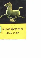 文化大革命期间出土文物