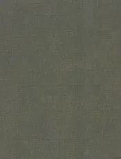 中国方志丛书  华北地方  第107号  河南省续武陟县志  1