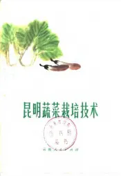 昆明蔬菜栽培技术