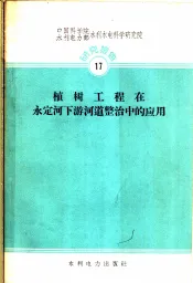 植树工程在永定河下游河道整治中的应用
