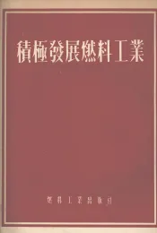 积极发展燃料工业