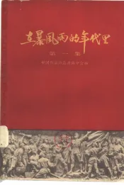 在暴风雨的年代里  第1辑