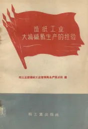 造纸工业大稿碱氯生产的经验