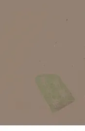 八旗通志初集  29