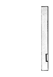 家庭进化论