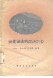 硫化铜矿的湿法冶金