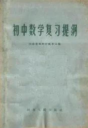 初中数学复习提纲