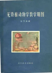 无脊椎动物学教学用图