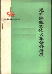 无产阶级文化大革命好得很  工农兵批林批孔文选  （五）