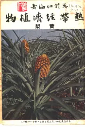 热带经济植物  黄梨