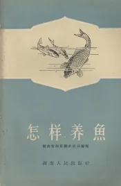 怎样养鱼