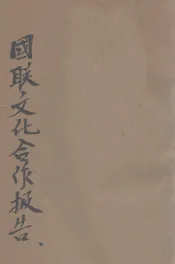 国联文化合作报告  第十七次