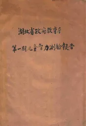 湖北省政府教育厅第1期儿童智力测验报告