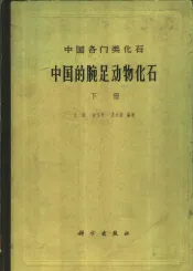 中国各门类化石  中国的腕足动物化石  下