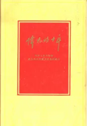 伟大的十年  中华人民共和国经济和文化建设成就的统计