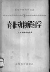 脊椎动物解剖学
