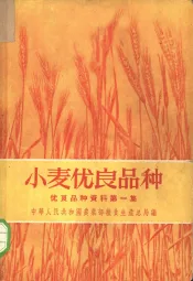 小麦优良品种