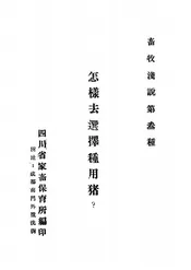 怎样去选择种用猪?