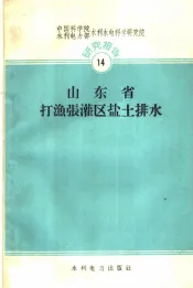 山东省打渔张灌区盐土排水