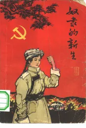 奴隶的新生  家史