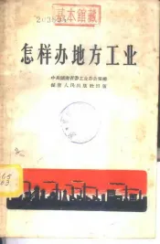 怎样办地方工业