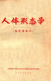 人体形态学