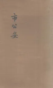 市公安